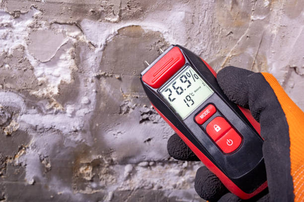 Best Mold Testing and Inspection Services in Morongo Valley, CA