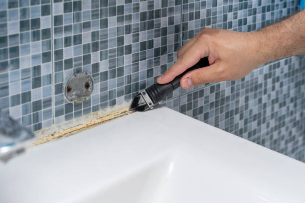 Best Preventive Mold Services in Morongo Valley, CA